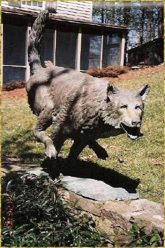 Running Wolf